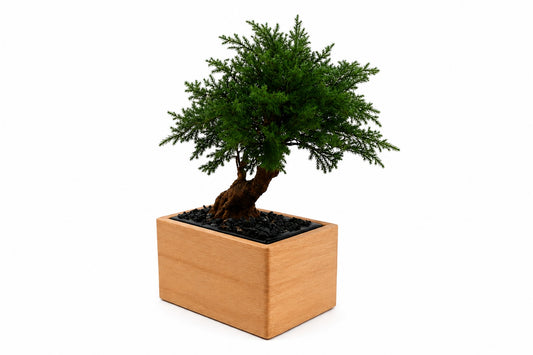 Urne funéraire personnalisable Bonsaï Junipérus SOUL GARDEN
