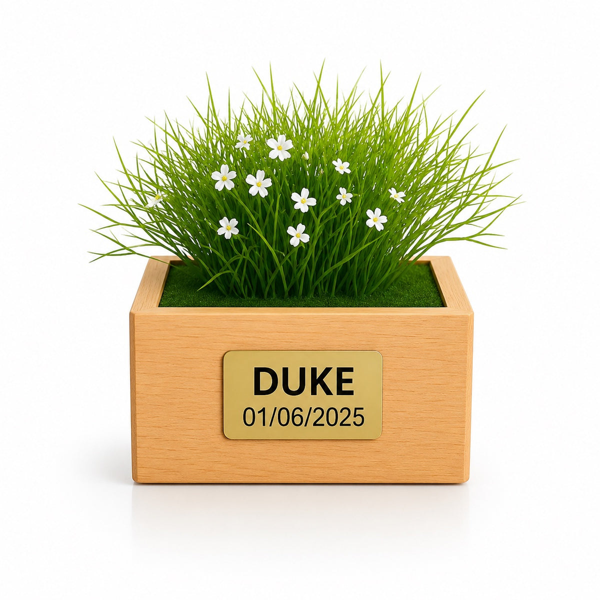 Urne funéraire Marguerite Blanche en hêtre massif avec plaque personnalisée – SOUL GARDEN