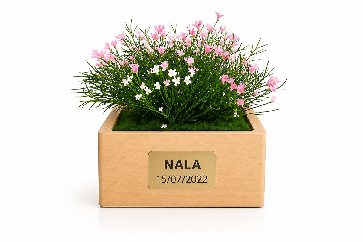 Urne funéraire Marguerite Rose en hêtre massif avec plaque personnalisée – SOUL GARDEN