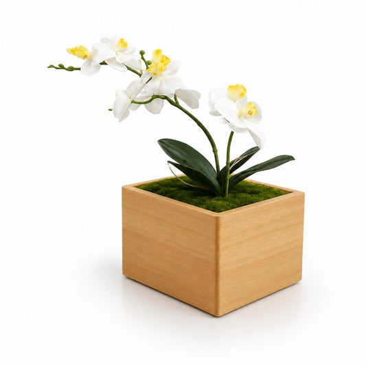 Urne funéraire Orchidée en hêtre massif sans plaque personnalisée – SOUL GARDEN