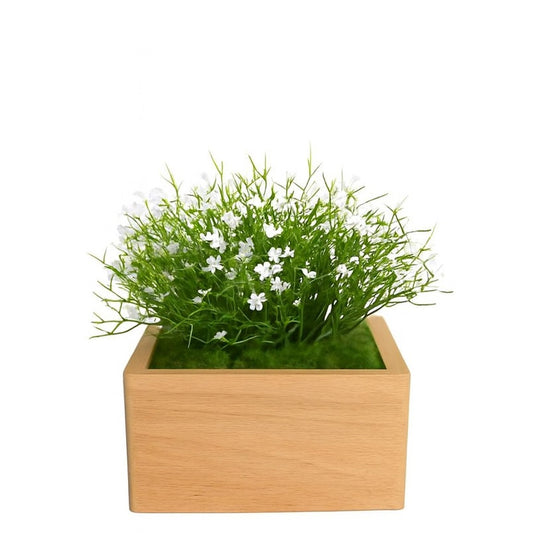 Urne funéraire artisanale Marguerite Blanche en hêtre massif pour chien ou chat