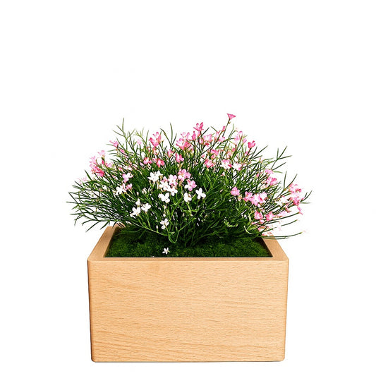 Urne funéraire artisanale Marguerite Rose en hêtre massif pour chien ou chat