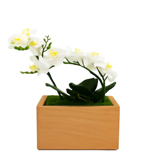 Urne funéraire Orchidée en hêtre massif personnalisable – SOUL GARDEN