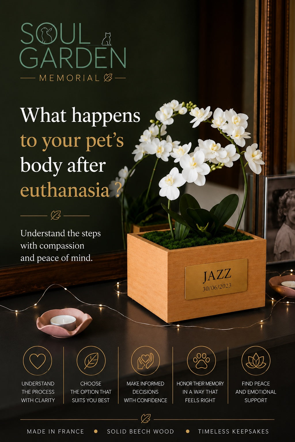 What Happens to a Dog or Cat's Body After Euthanasia ? The Complete Guide