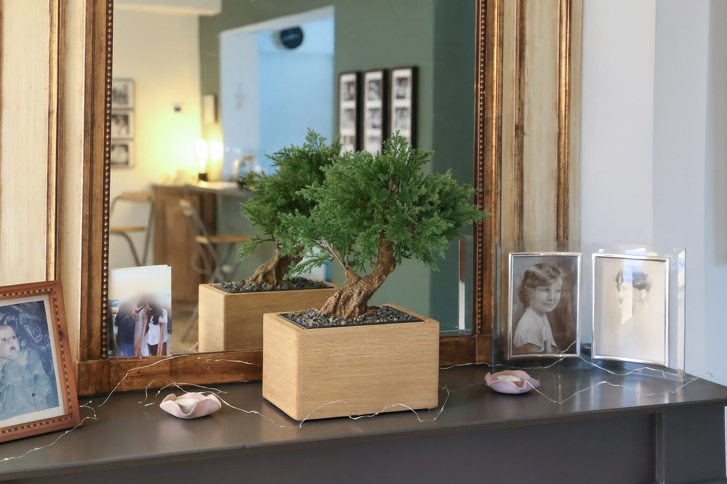 Urne funéraire en bois fabriquée en France – Modèle Bonsaï Junipéprus