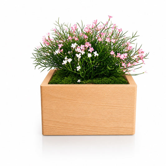 Marguerite Rose – Urne Funéraire pour Animal en Hêtre Massif