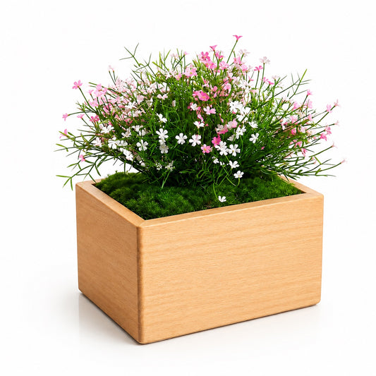 Marguerite Rose - Solid Beech Pet Urn