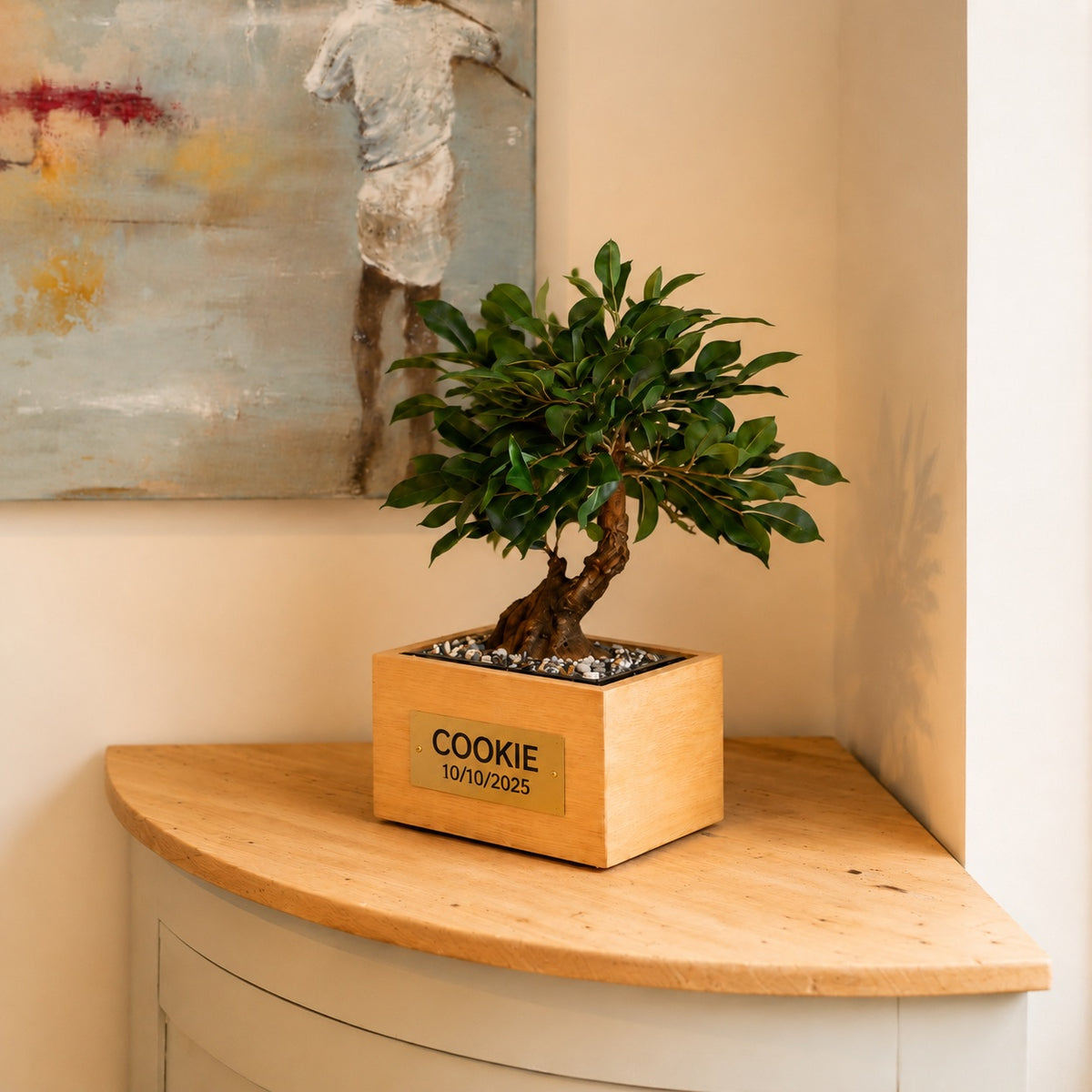 Urne funéraire Bonsaï Ficus en hêtre massif avec plaque personnalisée dans un intérieur lumineux – SOUL GARDEN