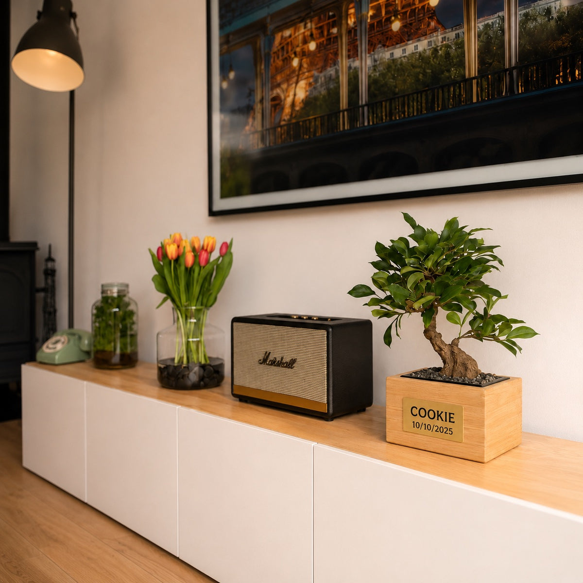 Urne funéraire Bonsaï Ficus en hêtre massif avec plaque personnalisée dans un salon contemporain – SOUL GARDEN